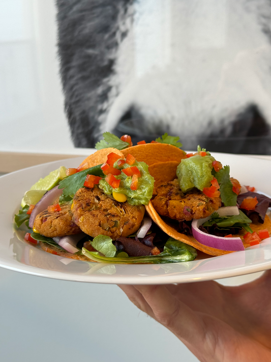 Taco Tuesday Fritter Tacos